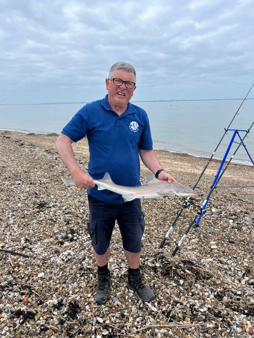 Des Barden Hound Minster on Sea May 2025