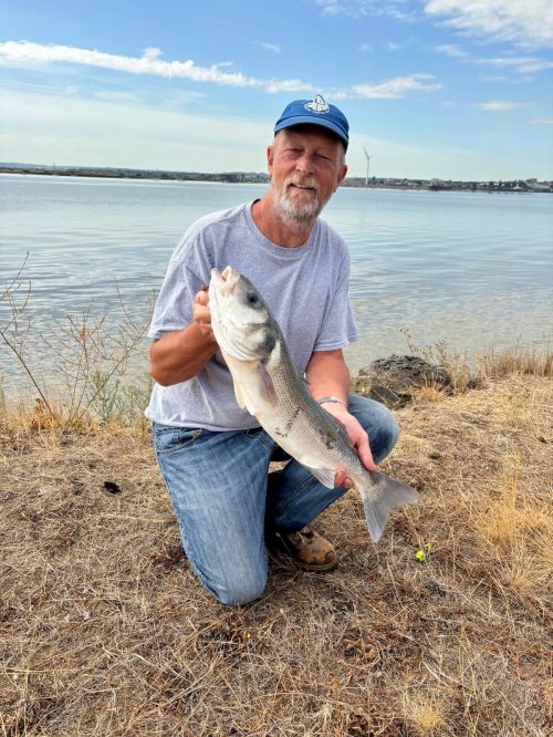 Ian Reynolds 63cm Bass Species Hunt Aug 2026 Ian Reynolds 63cm Bass Species Hunt Aug 2026