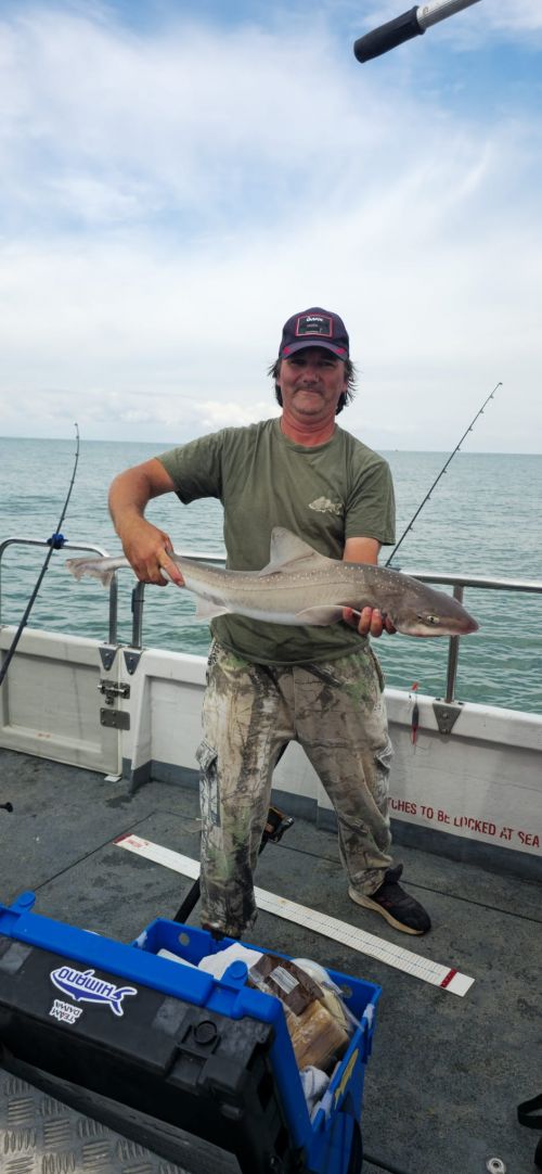 Laszlo Mundi 108cm Hound, 11lb 5oz Boat Aug 26