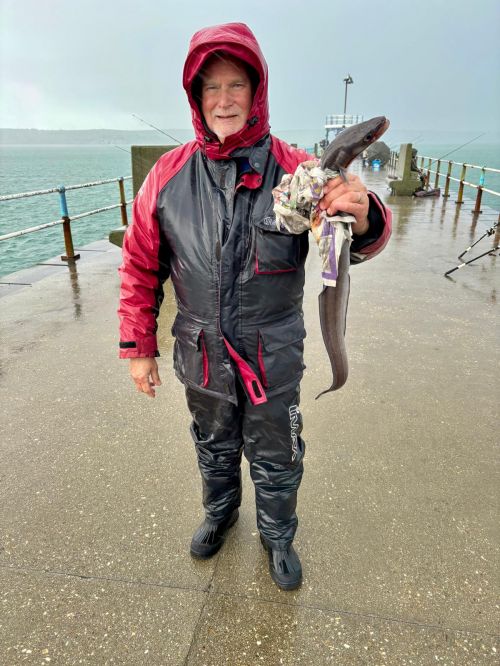 Long Weekend Weymouth Nov 2025 Andy Dibden Strap Conger 77cm
