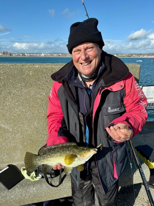 Long Weekend Weymouth Nov 2025 Simon Emanuel Ballan Wrasse 2lb 8oz