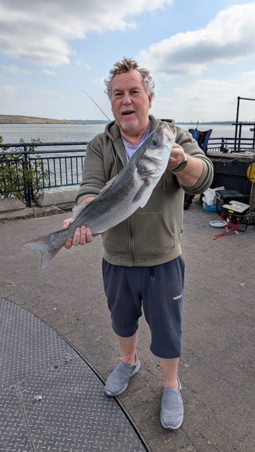 Martin Grossman 6lb 13oz Bass Erith Pier July 2026