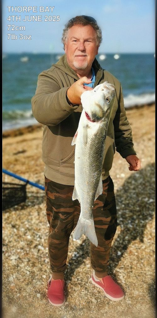 Martin Grossman Southend Social fish June 2025 Bass 72cm 7lb 3oz