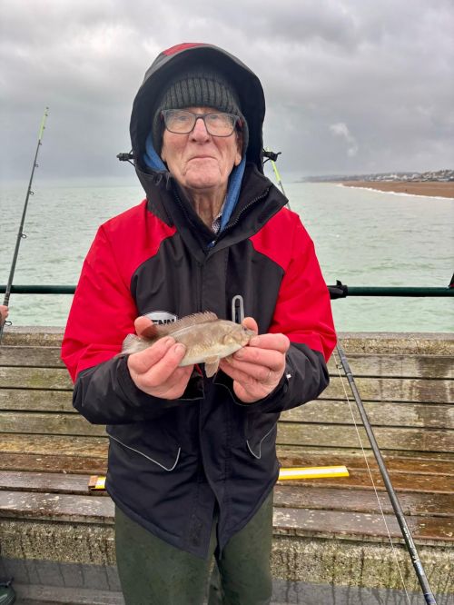 Reg Casbolt Ballan Wrasse Deal Pier Feb 26