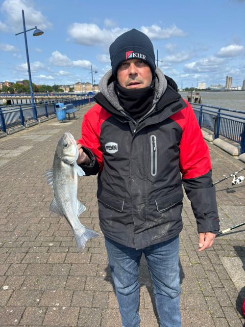 Tommy Raggett 46cm Bass, 2lb 1oz, Erith Pier June 2025
